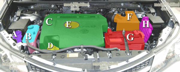 Figura 1: Infografica Vano Motore Toyota Rav4 2000 diesel quarta serie